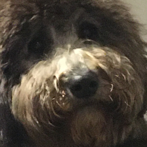 Meet your Posher, Julie - Picture 1 of 1